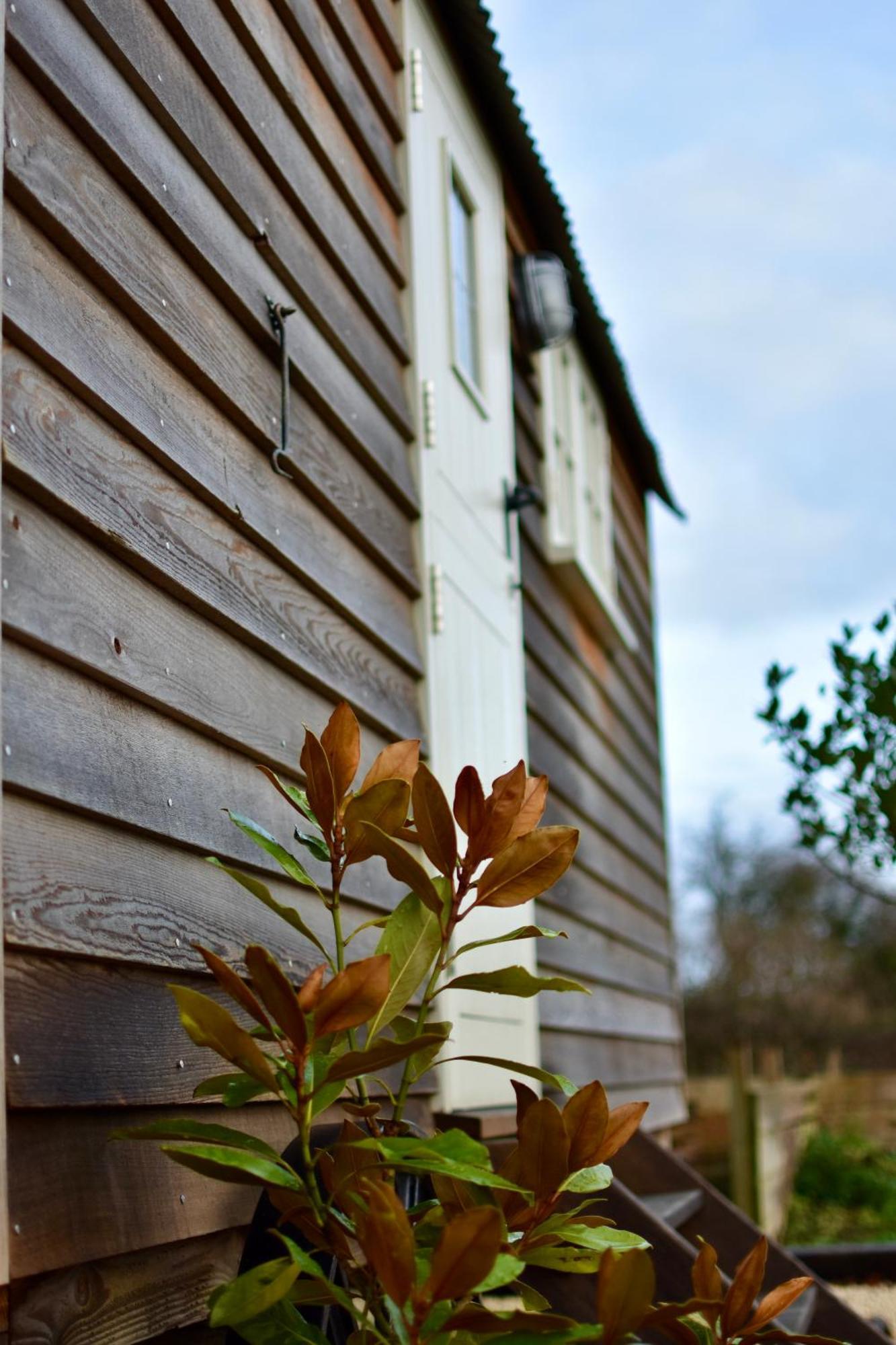 The Deer Hut Apartment Burpham Exterior photo